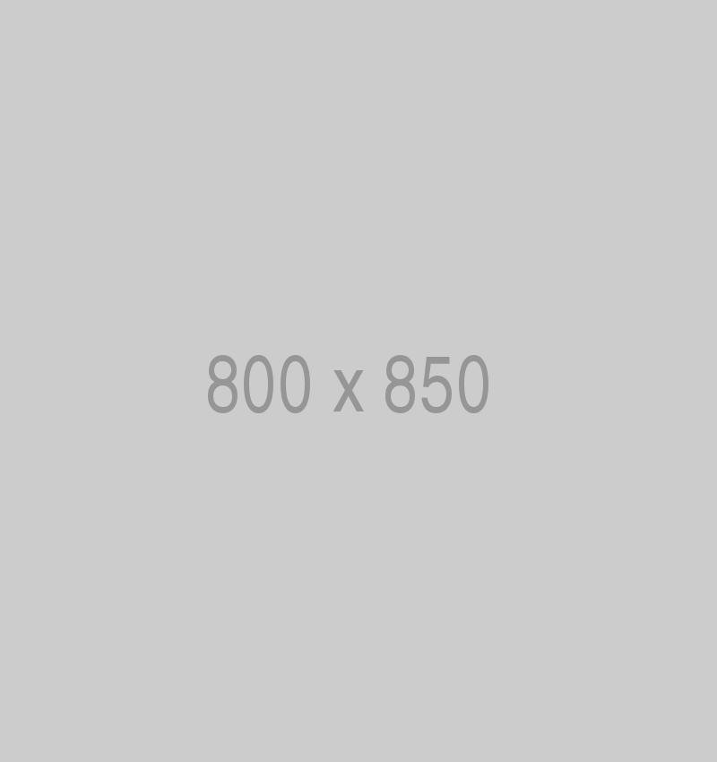 litho-800x850-ph